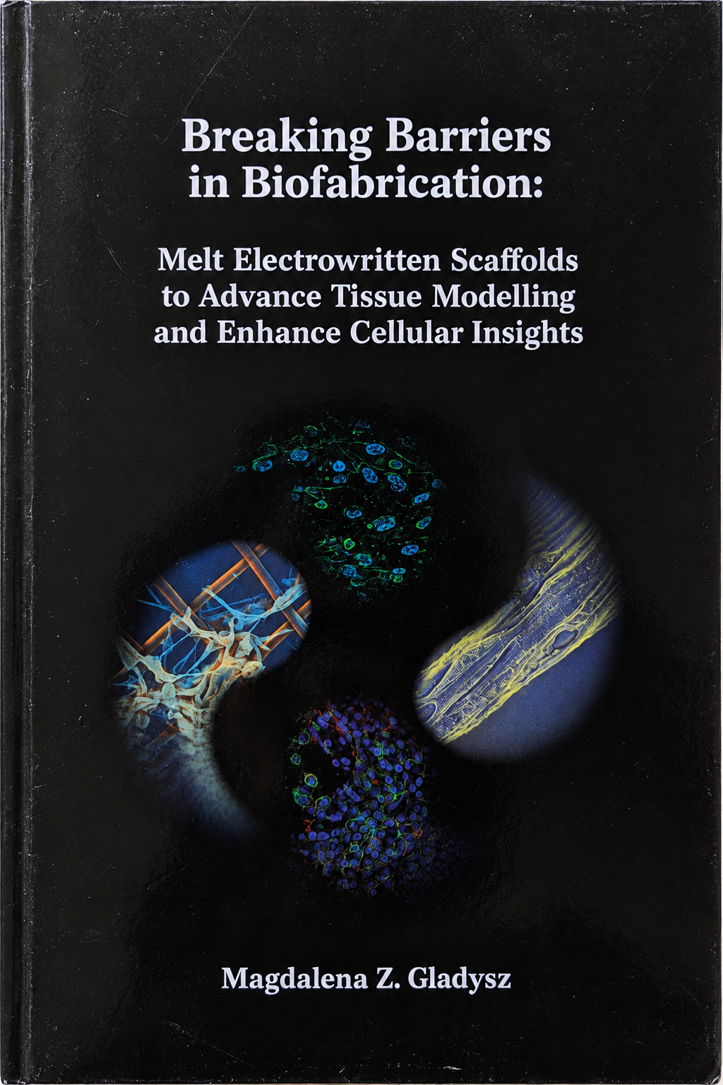Breaking Barriers in Biofabrication: Melt Electrowritten Scaffolds to Advance Tissue Modelling and Enhance Cellular Insights — Magdalena Z. Gladysz