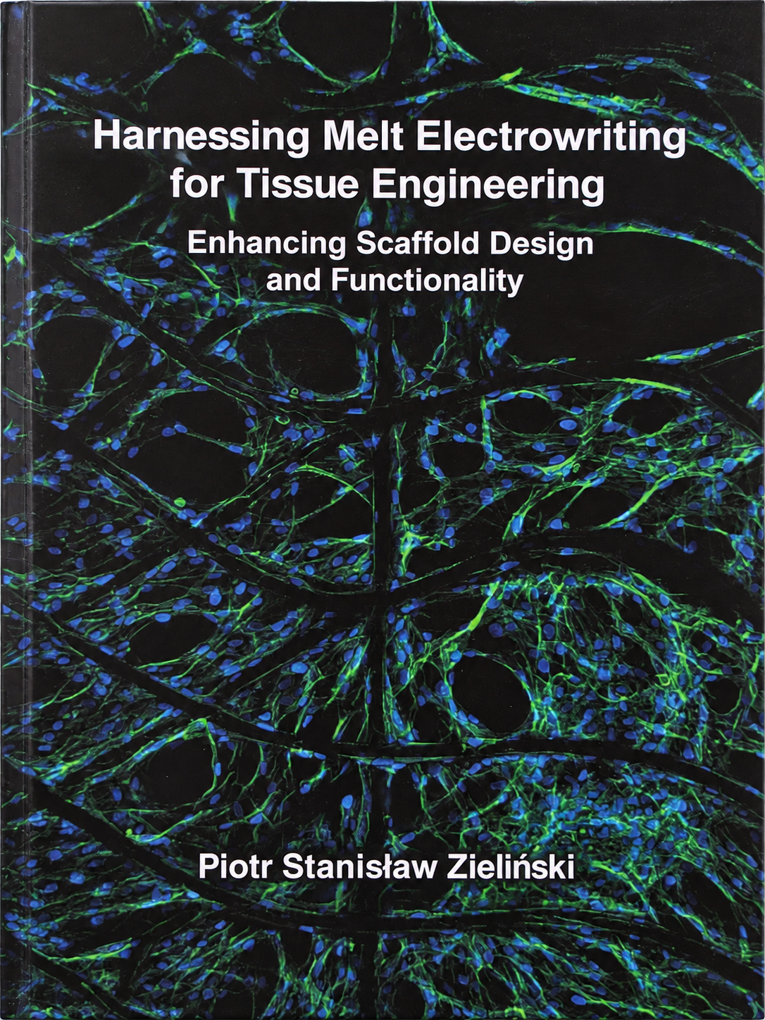Harnessing Melt Electrowriting for Tissue Engineering: Enhancing Scaffold Design and Functionality — Piotr Stanislaw Zielinski