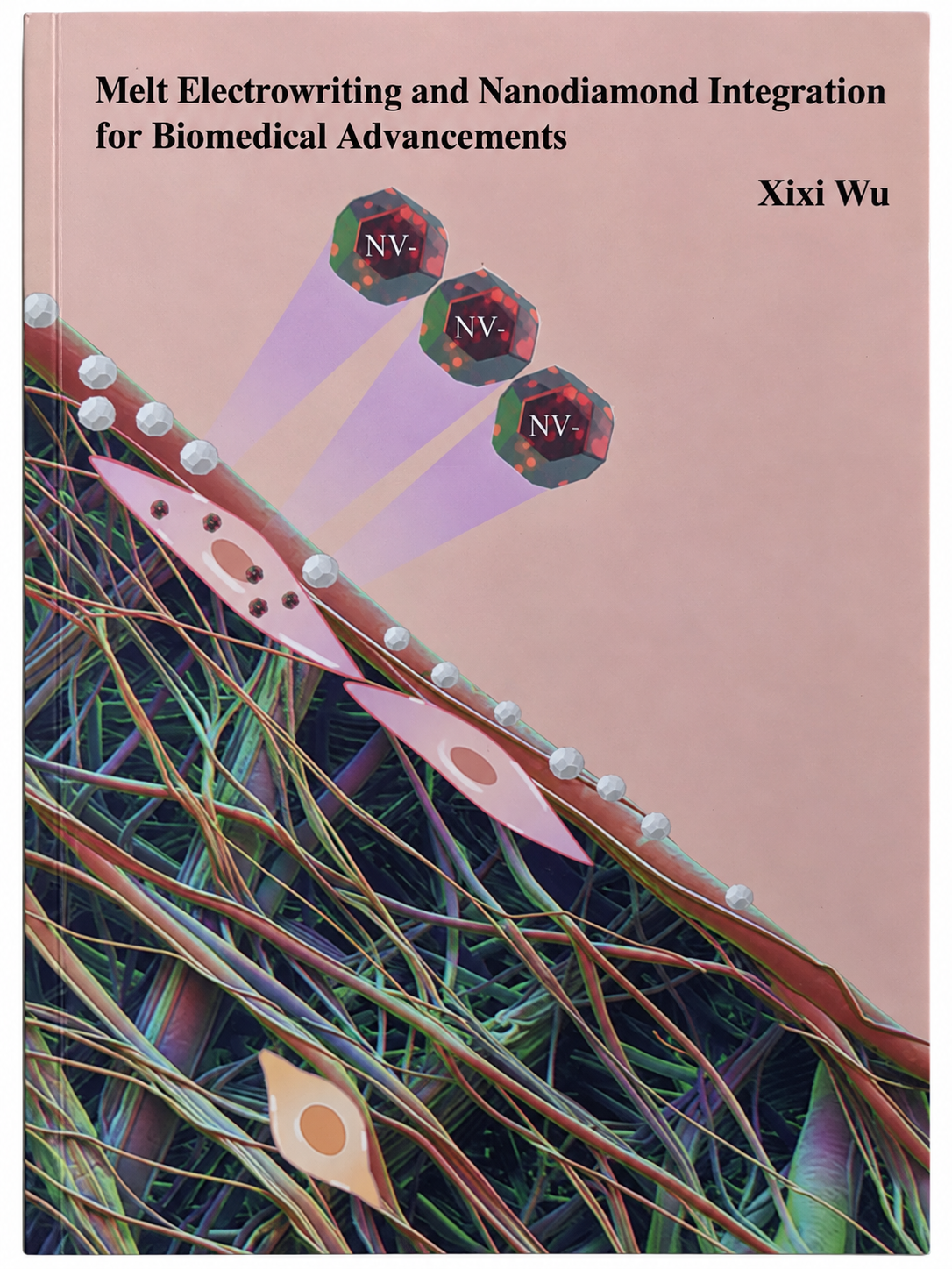 Melt Electrowriting and Nanodiamond Integration for Biomedical Advancements — Xixi Wu