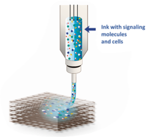 3D printed hybrid scaffolds for interface tissue engineering ...