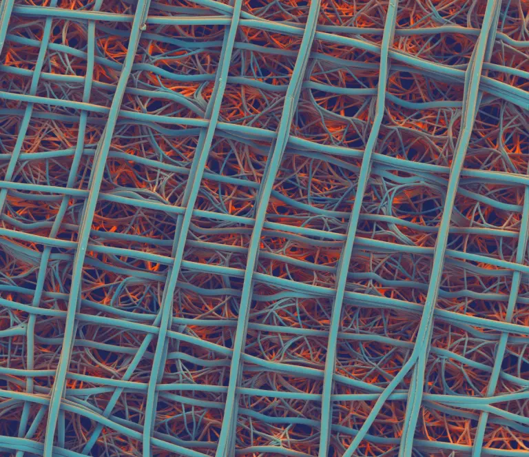 Bio-instructive scaffolds