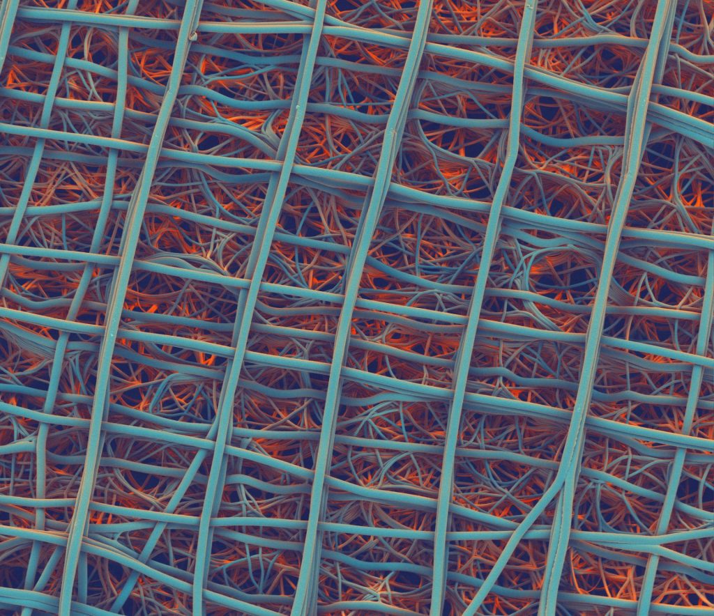 Bio-instructive scaffolds